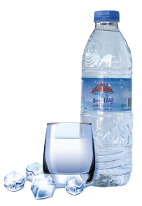 Mountain springs water bottle 500ml